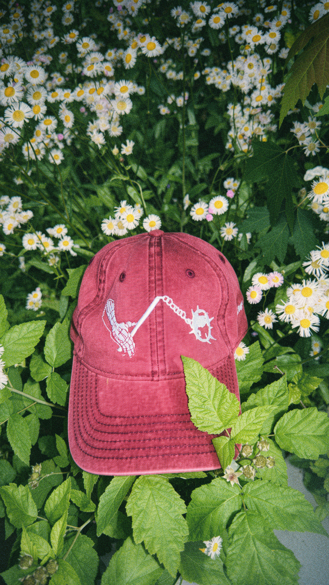 MORNINGSTAR EMBROIDERED CAP IN RUBY