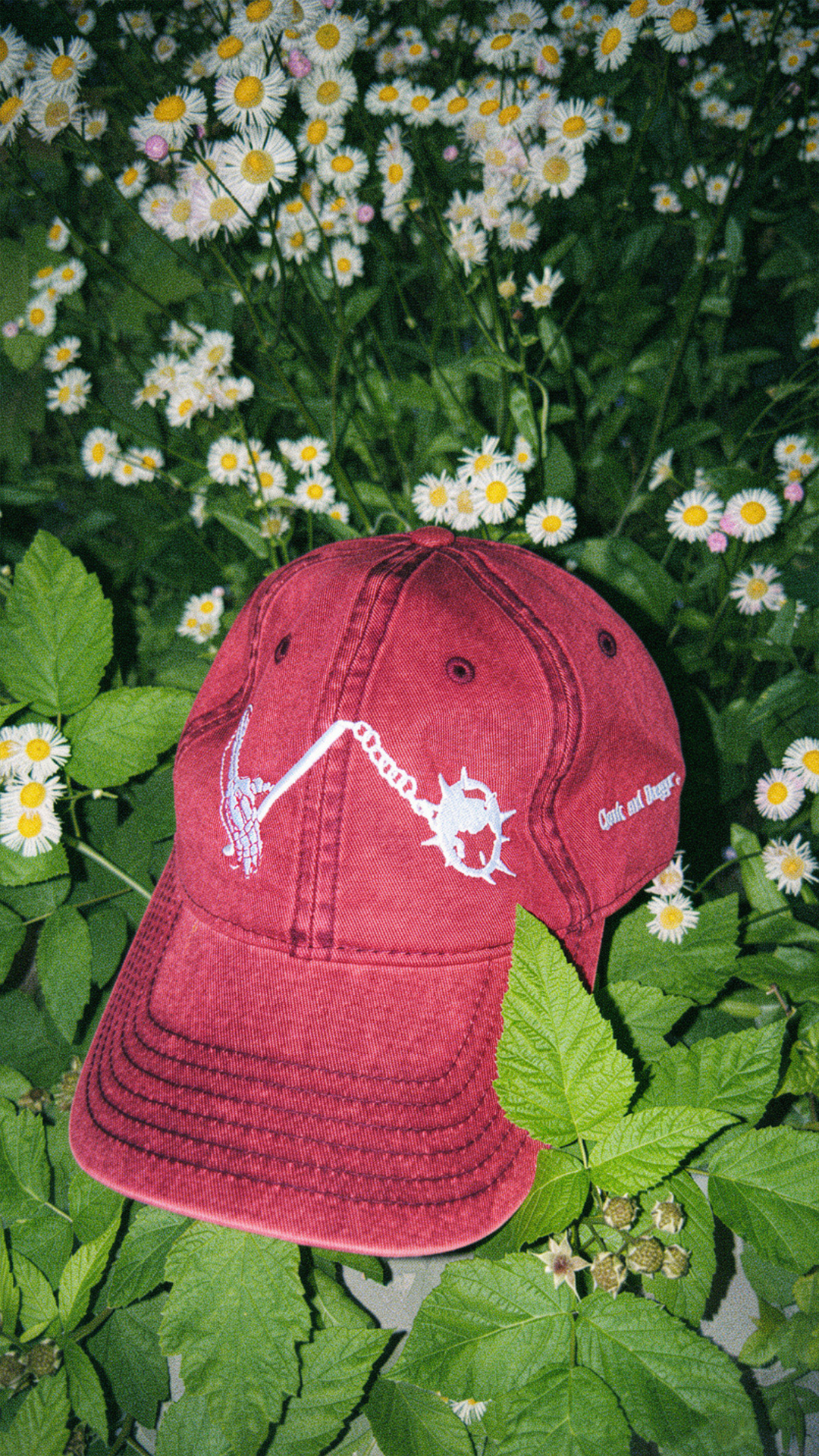 MORNINGSTAR EMBROIDERED CAP IN RUBY