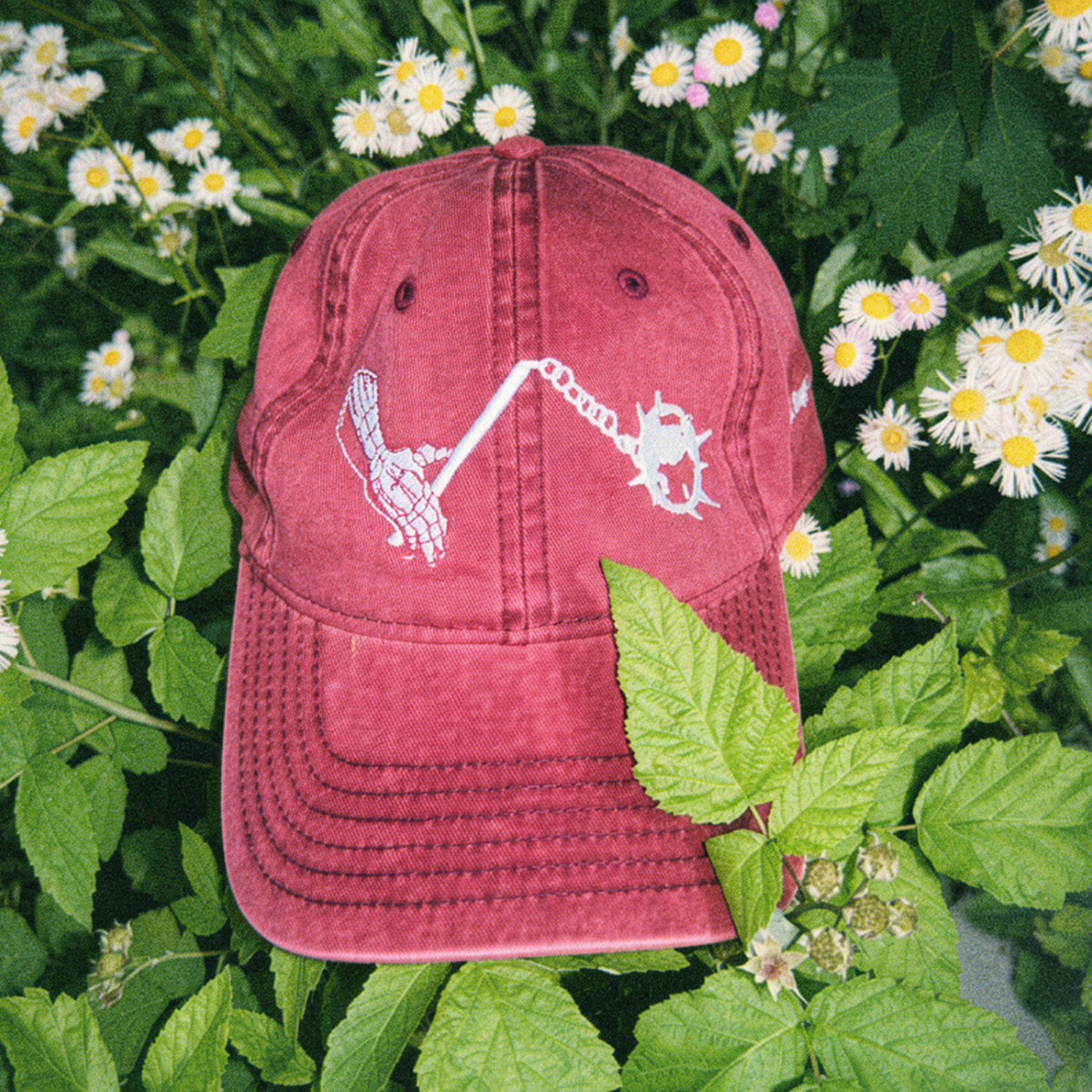 MORNINGSTAR EMBROIDERED CAP IN RUBY