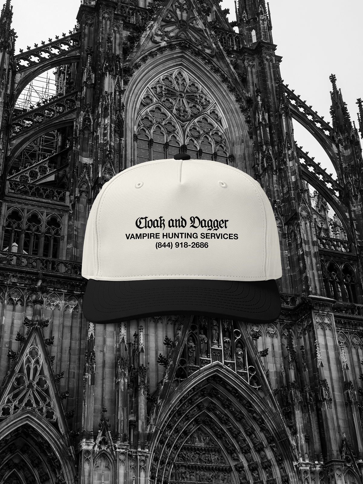 VAMPIRE HUNTER TWO TONE CAP