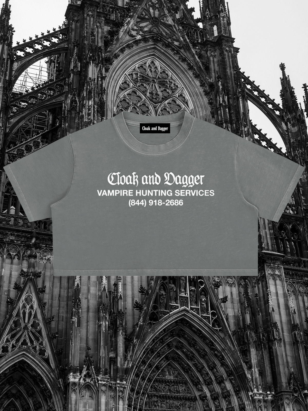 VAMPIRE HUNTER CROPPED TEE IN GREY